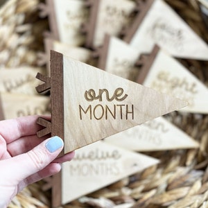 Baby Monthly Milestones Photo Prop - Pennant Flag Monthly Milestone Marker