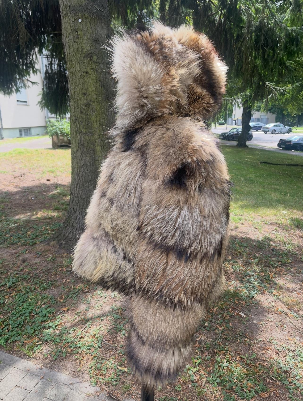 Cropped Raccoon Fur Coat With Hood - Etsy UK