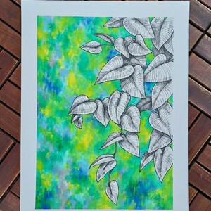 May include: A black and white ink drawing of a leafy plant with heart-shaped leaves, set against a watercolor background of green, blue, and yellow.