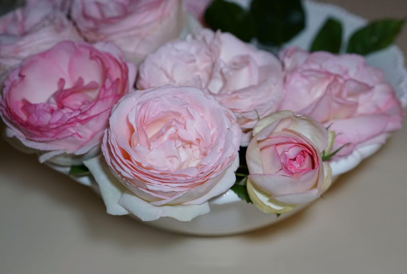 Peut inclure: Un bol en c&eacute;ramique blanche rempli de roses roses. Les roses sont dispos&eacute;es en cercle, les p&eacute;tales se chevauchant.