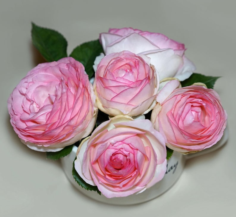 Peut inclure: Un bouquet de cinq roses roses dans une tasse en c&eacute;ramique blanche. Les roses sont dispos&eacute;es en cercle, les tiges vers l'ext&eacute;rieur. La tasse a un design simple et est d&eacute;cor&eacute;e du mot "aujourd'hui" sur le c&ocirc;t&eacute;.