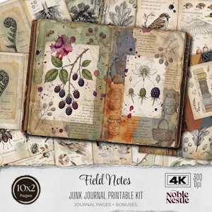 Può includere: Un diario vintage aperto con illustrazioni botaniche di more, fiori e un uccello. Le pagine del diario sono circondate da altre illustrazioni botaniche e dal testo "Field Notes" e "Junk Journal Printable Kit".