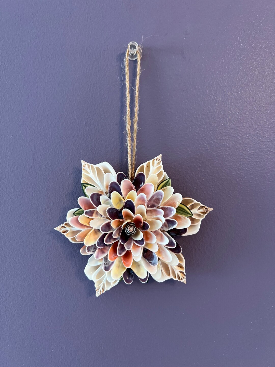 Sliced Seashells and Mixed Color Coquina Shell Magnet/ornament. - Etsy