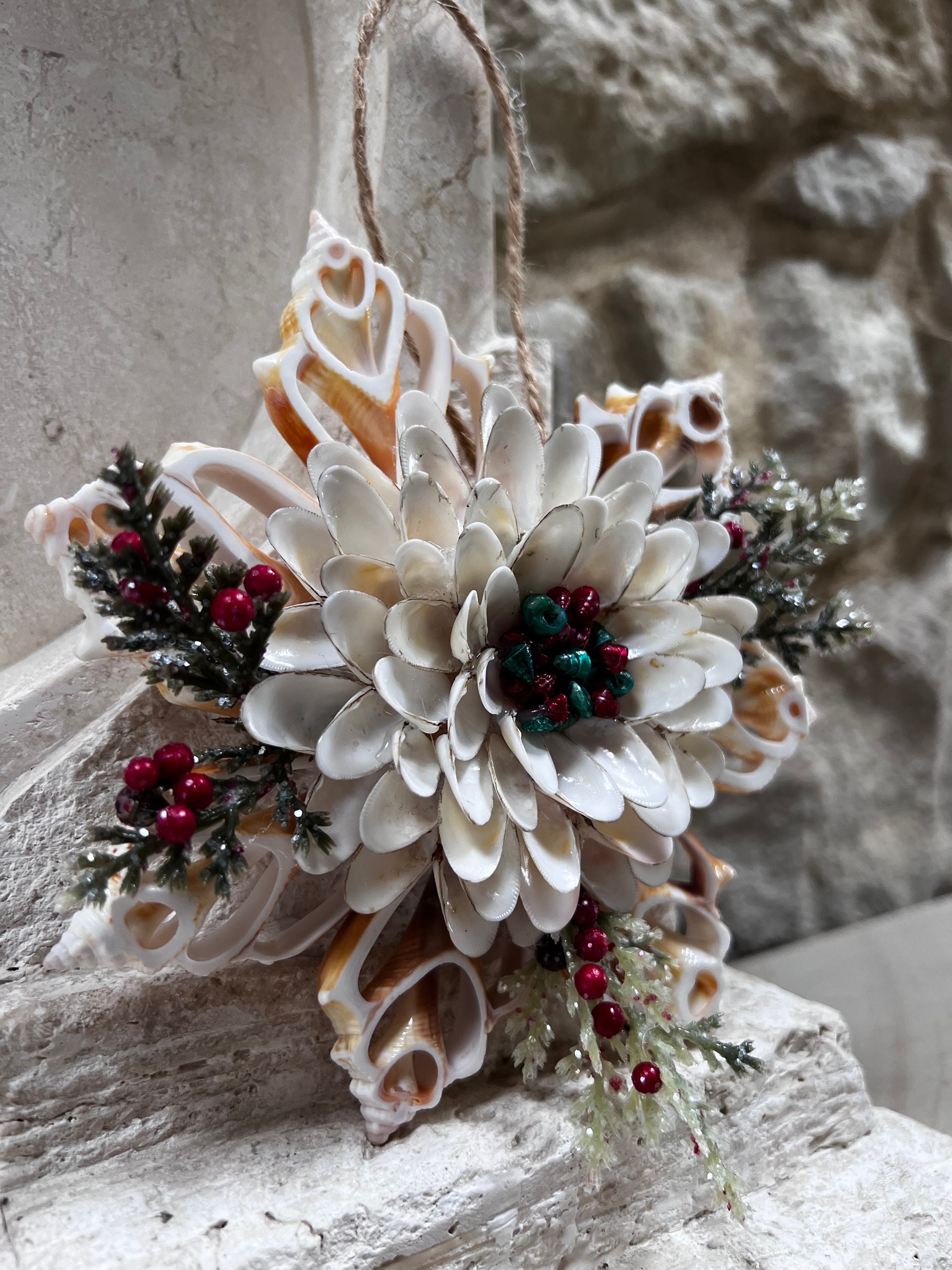 Christmas/holiday Sliced Center Fighting Conch Shells and White Coquina ...