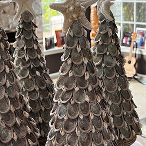 May include: Three small, cone-shaped Christmas trees decorated with seashells and topped with white starfish.