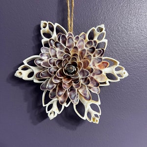 Cut White Babylonia and Coquina Shell Magnet/Ornament.