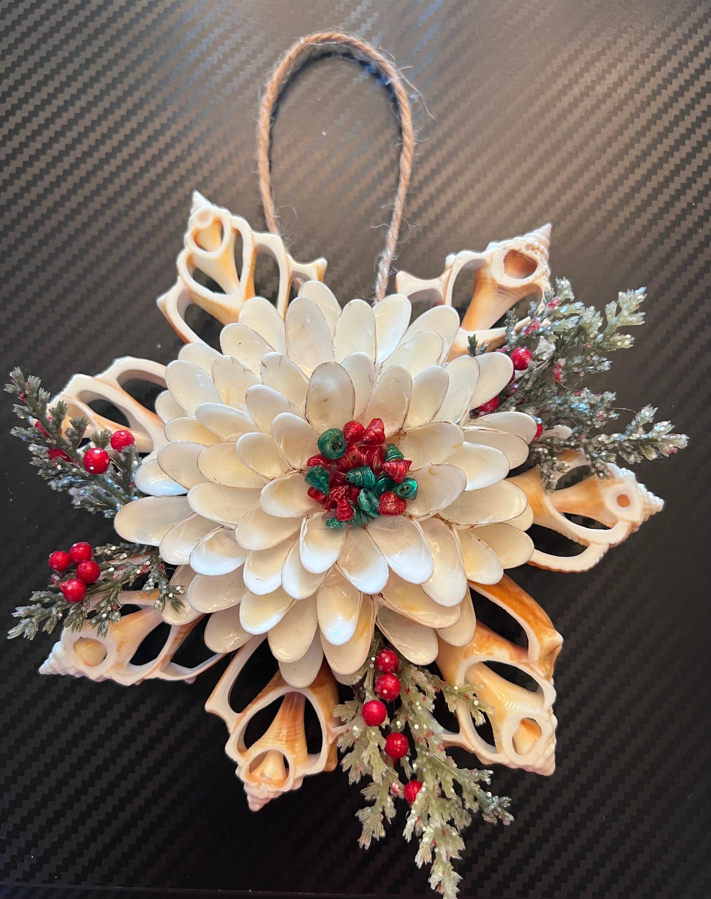 Christmas/holiday Sliced Center Fighting Conch Shells and White Coquina ...
