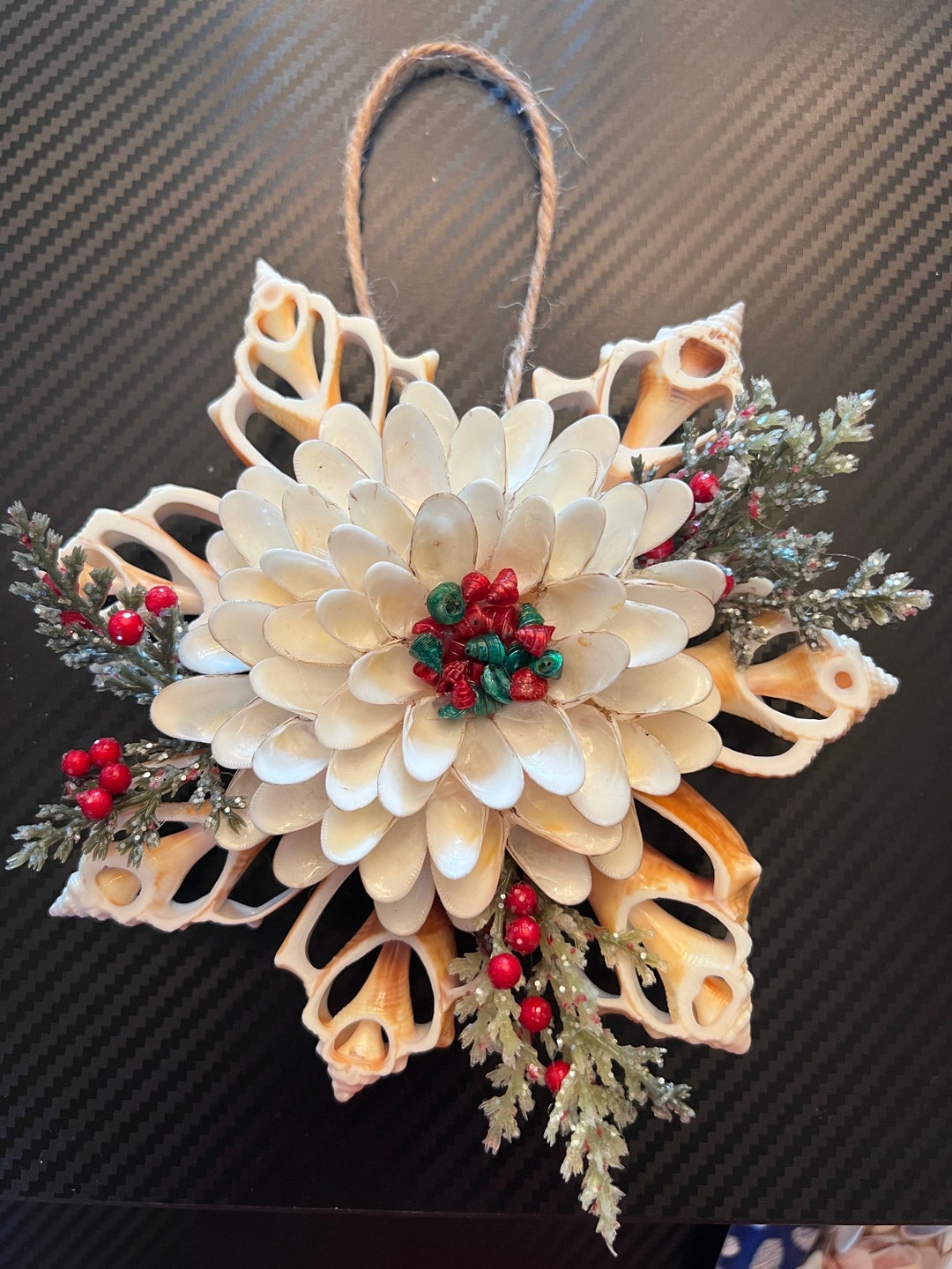 Christmas/holiday Sliced Center Fighting Conch Shells and White Coquina ...