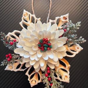 May include: A decorative ornament made from seashells, shaped like a snowflake. The centre is a cluster of white shells, surrounded by tan shells. It has red berries, green sprigs, and a jute loop for hanging.