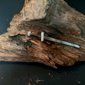 Può includere: Una piccola spada argentata con punta arrotondata, appoggiata su un pezzo di legno di deriva consumato dal tempo.