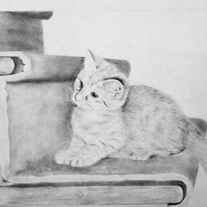 Custom Pet Portrait
