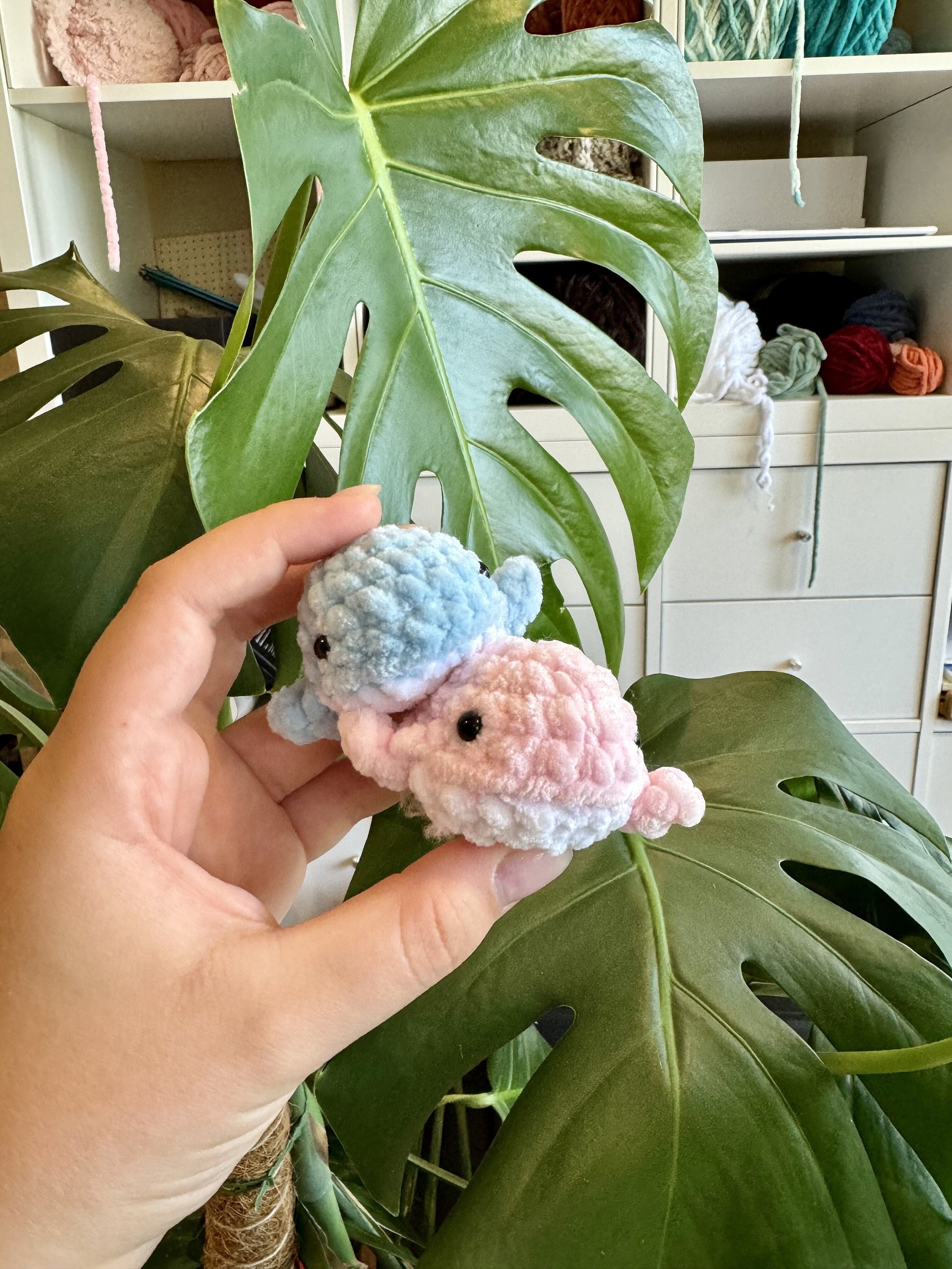 Crochet Baby Whale | Tiny Whale Plush Gift