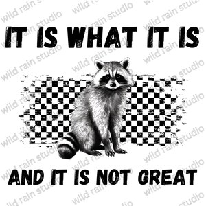 It Is What It Is And It Is Not Great png, Funny Racoon Png, Vintage Raccoon Shirt, Funny Trash Panda, Weird Funny Sublimations, Sarcastic