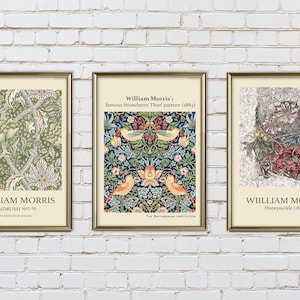 Set of 3 prints William Morris Downloadable Botanical Art Botany Prints Boho Wall Print Neutral Floral Printable Art Decor DIGITAL