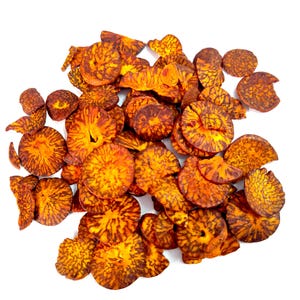 Sweet & Tasty Chips Supari Wafers Mouth Freshener Soft and Sweet Indian Round chips Supari Wafers are a delicious  Indian mouth freshener