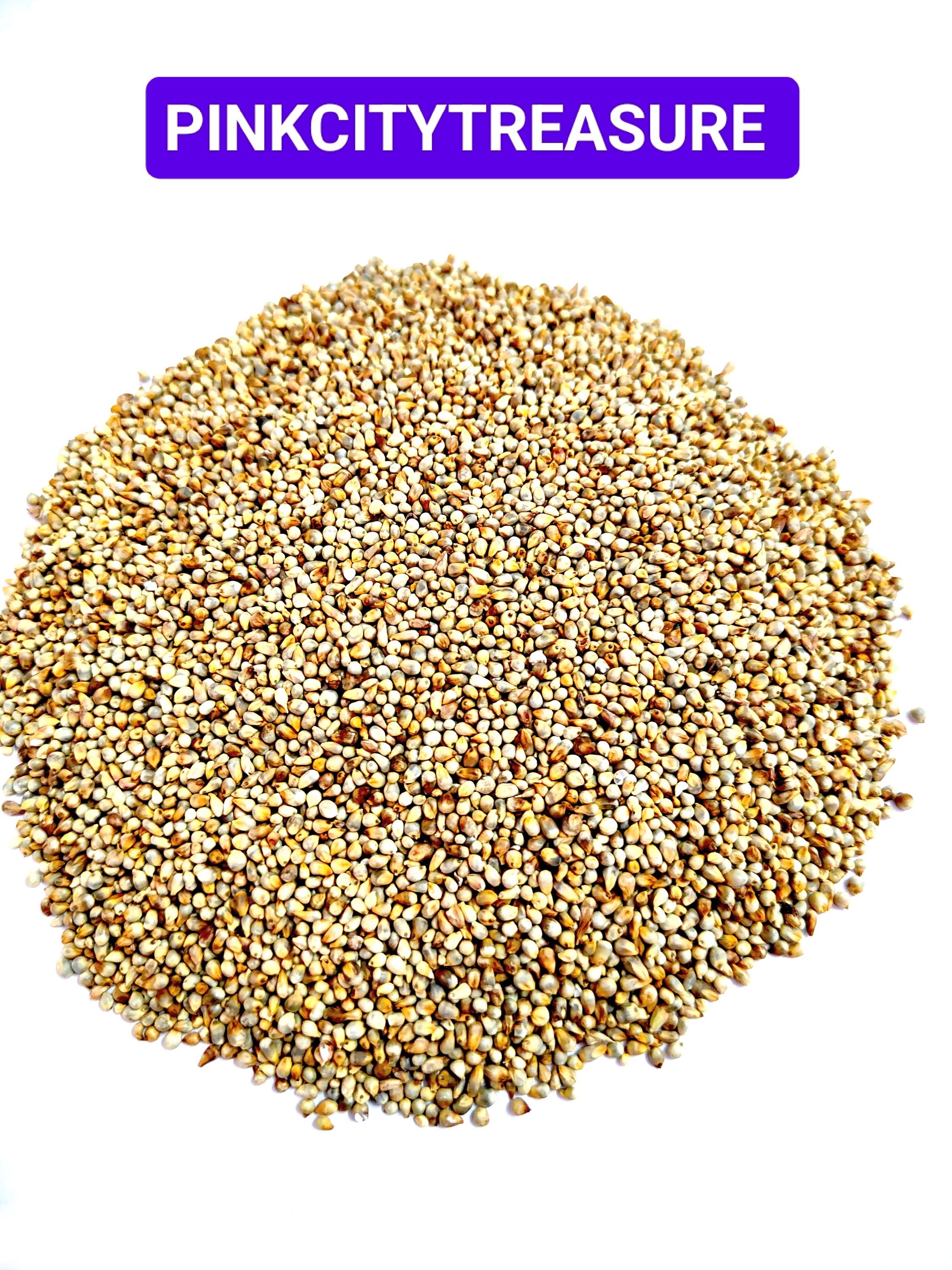 100% Organic Natural Bajra Pearl Millet for Healthy Organic Premiem Quality Pearl Millet Bajra Free Shipping