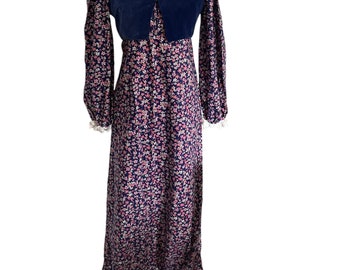 May include: A long, blue floral dress with a matching blue velvet vest. The dress has a square neckline and long sleeves with white lace trim. The skirt has a white lace trim and a ruffle at the hem.