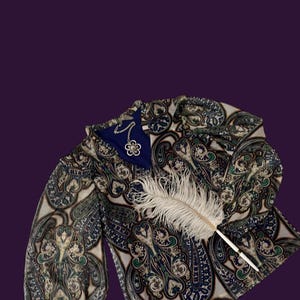 May include: A long-sleeved paisley patterned blouse with a white feather and a pen on top. The blouse has a V-neck and a ruffled collar.