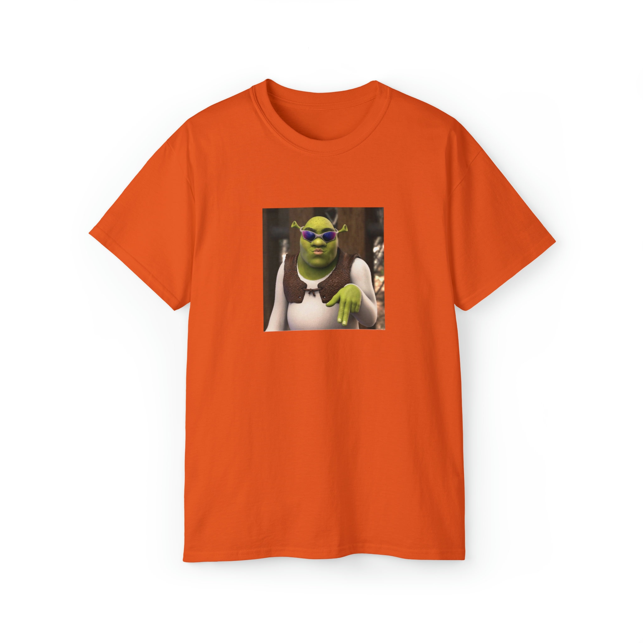 Shrek Meme Merch _ Shrek T Shirt – IRYZ