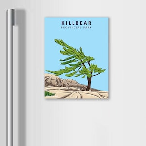 Op de afbeelding: Een rechthoekige magneet met een grafische illustratie van een door de wind gebogen dennenboom op rotsachtig terrein tegen een lichtblauwe lucht. De tekst KILLBEAR PROVINCIAL PARK staat in donkerblauw bovenaan het ontwerp op een witte ondergrond.