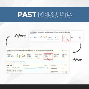 Professional Website SEO Audit Service Past Results