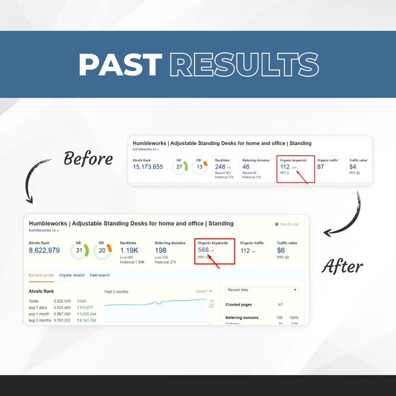 Professional Website SEO Audit Service Past Results