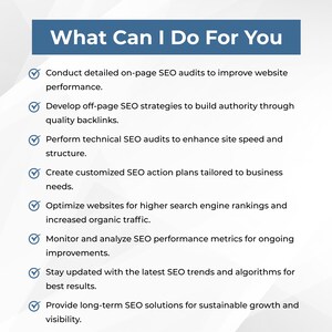 Professional Website SEO Audit Service What Can I Do For You