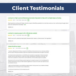 Custom Full-Stack Website Design & Development Client Reviews