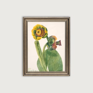 Botanical Art Print, Vintage Flower Art Print Digital Download, Plant Lover Gift, Watercolor Flowers
