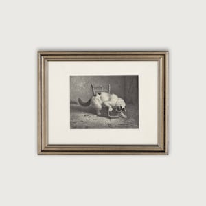 Vintage CAT SKETCH Printable Art, Antique Animal Sketch Downloadable Art Print, Cat Study, Rustic Decor, Neutral Wall Decor, Cat Lover Gift