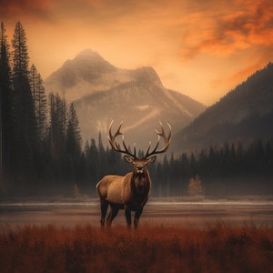 Elk Print on Canvas | Lodge Wildlife Series | Wildlife Refuge | wildlife animals, wild animal art, wall art, high-quality, home decor