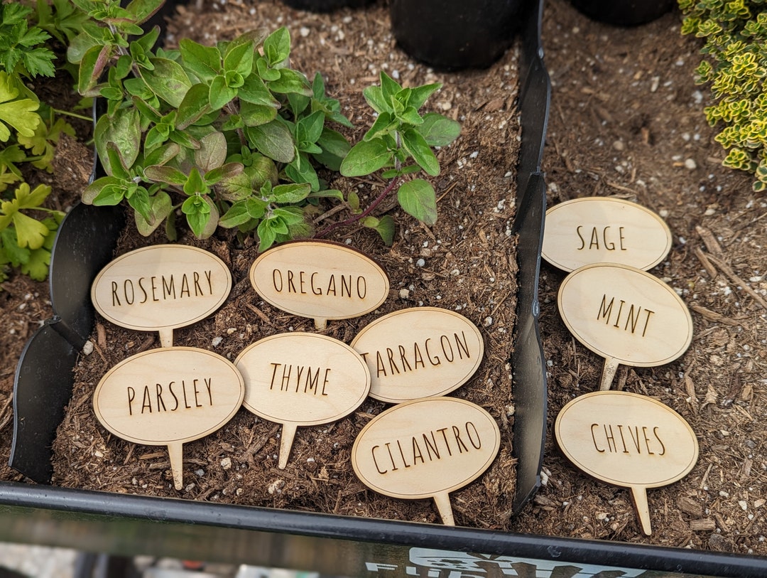 Set of 12 Wood Herb Labels for Your Garden Etsy