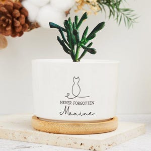 Puede incluir: Una maceta de cerámica blanca con una silueta de gato y el texto "NEVER FORGOTTEN Maxine". La maceta contiene una planta suculenta verde y se apoya en un platillo de madera. Una pequeña planta está en el fondo.