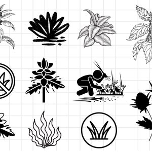 Könnte beinhalten: Eine Sammlung von Schwarzweißillustrationen, die verschiedene Pflanzenarten darstellen, darunter eine Brennnessel, ein Unkraut und eine Blume. Die Illustrationen sind einfach und stilisiert und konzentrieren sich auf die Form und Gestalt der Pflanzen.