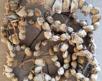 Sonajeros para tobillos para Sangoma