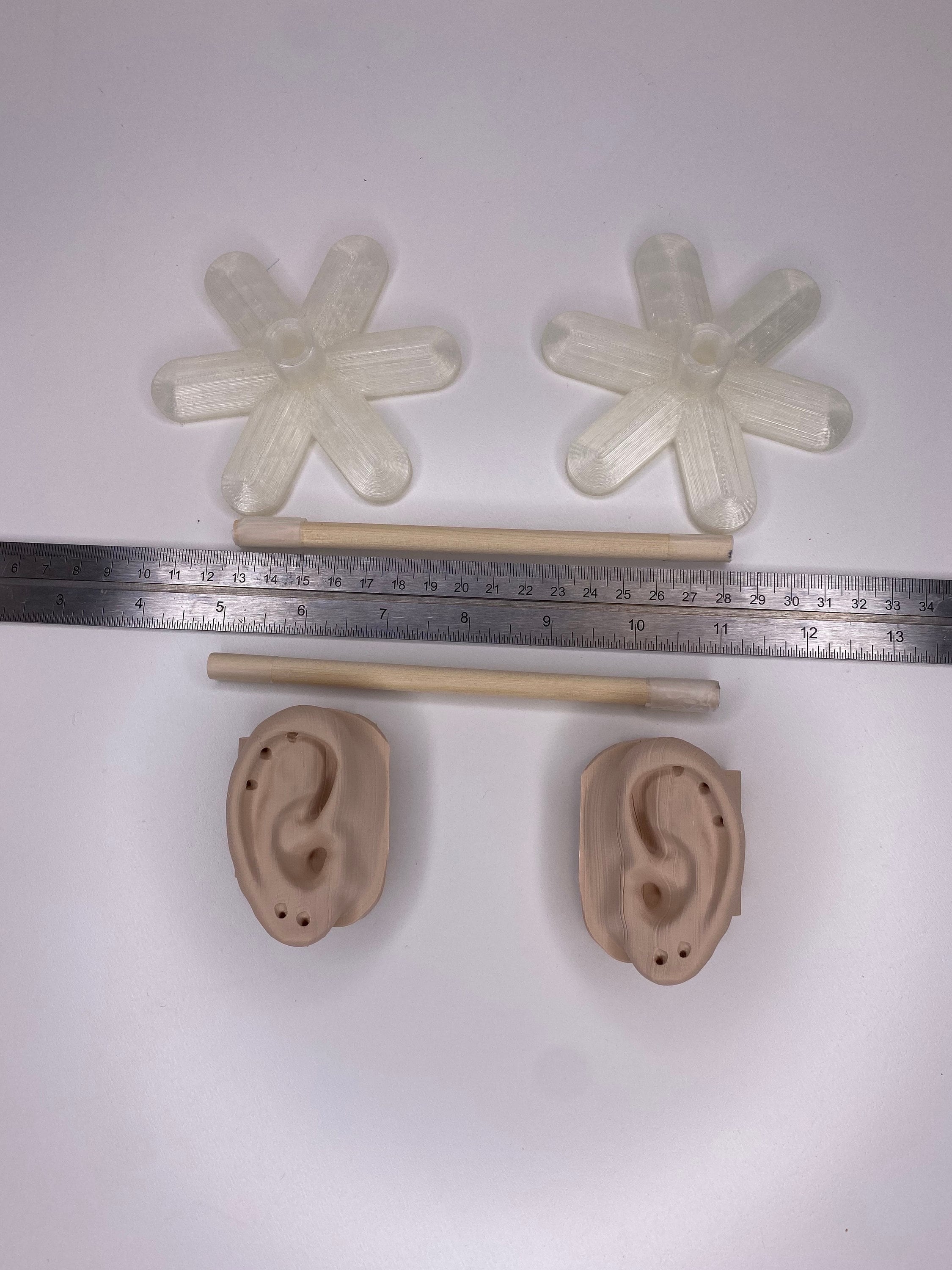 Ear Model - Display Your Wares on an Anatomically Correct Ear - Etsy