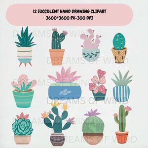 Imágenes prediseñadas de suculentas, 12 imágenes PNG digitales dibujadas a mano, garabatos de cactus, ilustraciones de suculentas, vegetación, flores, arte digital de cactus, desierto, plantas en macetas