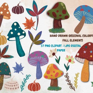 Handdrawn Mushroom Clipart, Fall elements Png,Woodland Clipart,umbrella pumpkin png,Autumn Clipart,Fall Letterings,Cottagecore Clipart,Leaf