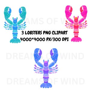 Lobster png clipart,lobster sublimation,tshir sublimation,seaworld illustration,seafood illustration,lobster print,nautical print,coastalpng