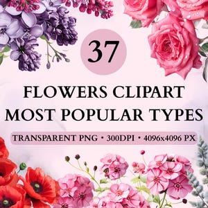 Watercolor Flower Collection, Flower Design, Flower Bundle, Flower Clipart PNG, Flower Bouquet Mother&#39;s Day, Birth Flower PNG, Field Flowers