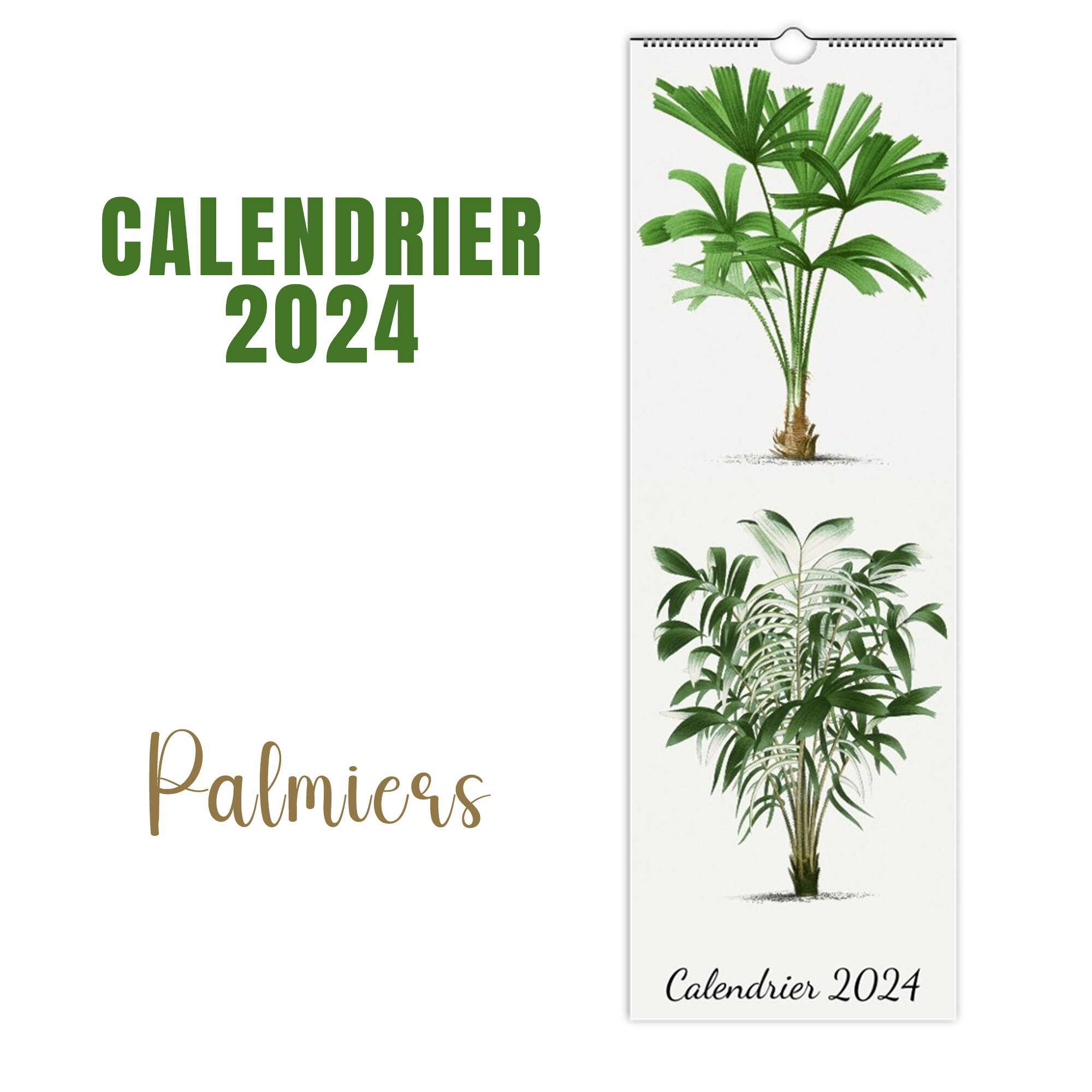 Calendrier Palmier 2024 Hatti Koralle