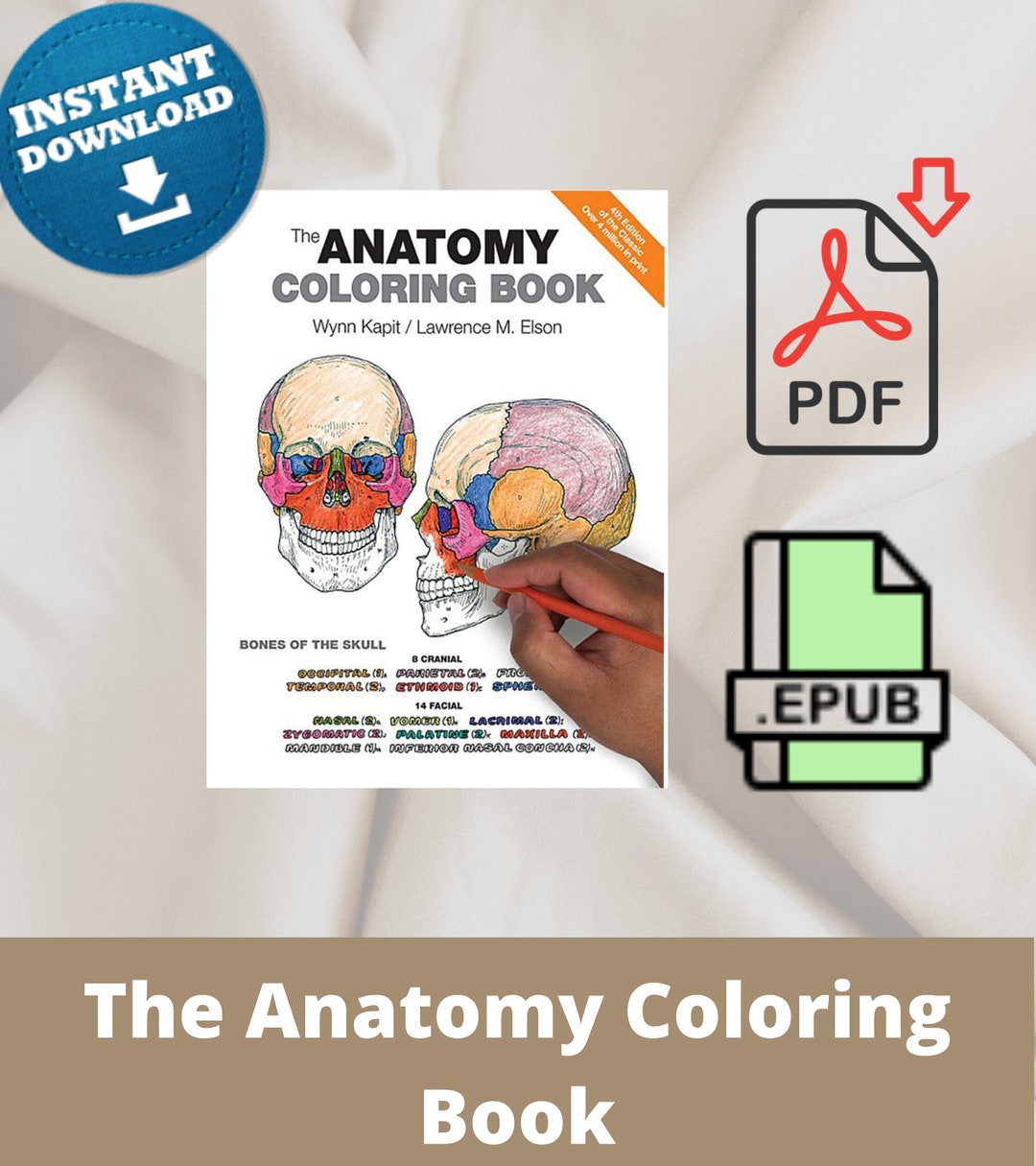 The Anatomy Coloring Book4th Edition by Wynn Kapit Lawrence Etsy