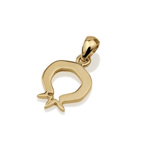 14k Gold Pomegranate Pendant, Jewish necklace, Gift from Israel, Fruit Jewelry