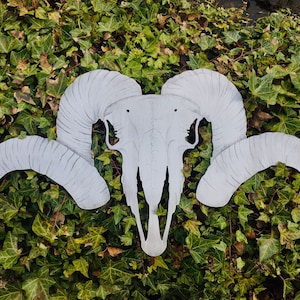 May include: A white metal ram skull with large horns. The skull is on a bed of green ivy.