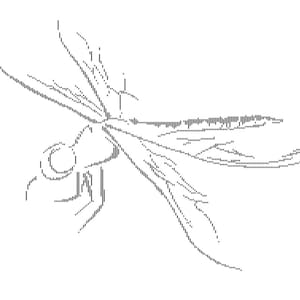Dragonfly. Book folding pattern. Cut and fold. Art print.