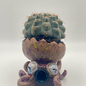 Puede incluir: Una maceta de cerámica con forma de pulpo con esmalte brillante morado y marrón, con grandes ojos blancos con motas azules y una boca circular negra. El pulpo sostiene un cuenco texturizado en forma de huevo que contiene un cactus verde.