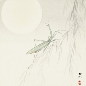 Traditional Japanese Art - Praying Mantis Print - Gifts for Him