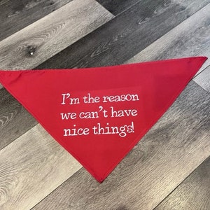 I&#39;m The Reason We Can&#39;t Have Nice Things Bandana