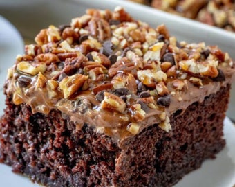 Puede incluir: Primer plano de un pastel de chocolate cubierto con una capa de glaseado de chocolate y una generosa cantidad de nueces de pecán y chispas de chocolate. El pastel está en un plato blanco.
