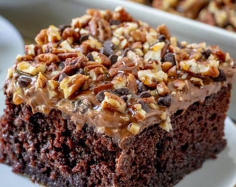 Chocolate Turtle Poke Cake Recipe Download